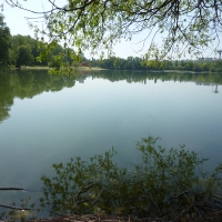 Felső Öböl (szabadstrand)_30